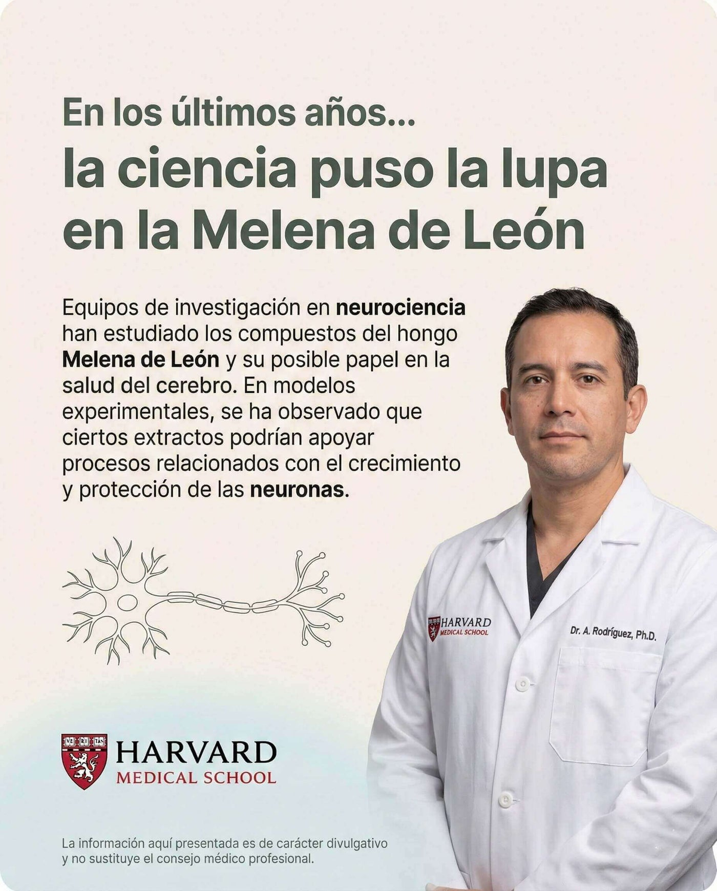 Imagen informativa